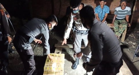  Belasan Penjudi Adu Jangkrik Lari Tunggang Langgang Dikejar Aparat