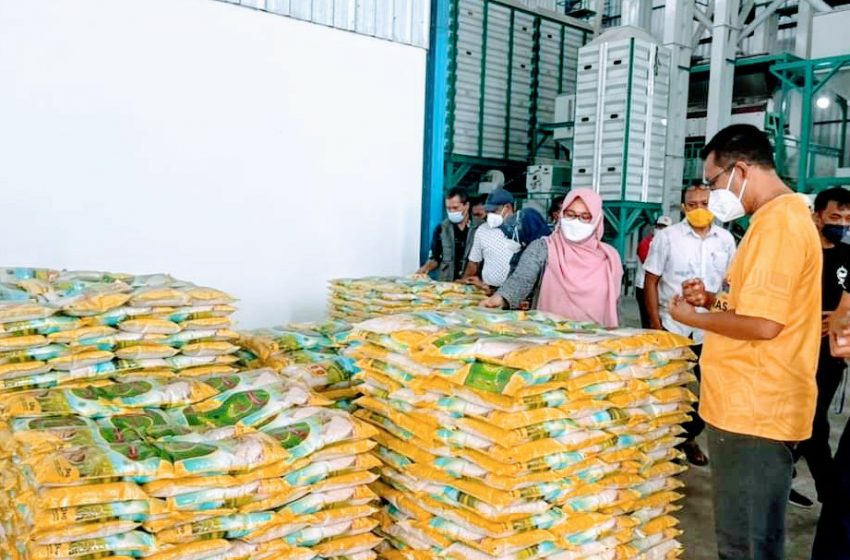  Beras Premium dan Distribusi Lancar, Berimbas Stabilnya Harga Gabah
