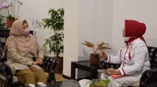  Persatuan Artis Penyanyi dan Pencipta Lagu Akan Munas di NTB